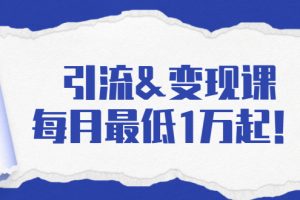 引流&变现课：分享一整套流量方法以及各个渠道收入，每月最低1万起！