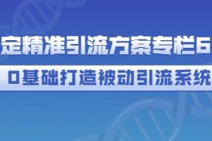 制定精准引流方案专栏6.0，0基础打造被动引流系统