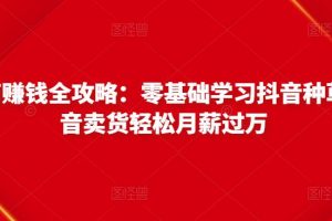 抖音电商赚钱全攻略：零基础学习抖音种草，靠抖音卖货轻松月薪过万