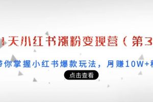 21天小红书涨粉变现营（第3期）：带你掌握小红书爆款玩法，月赚10W+秘密