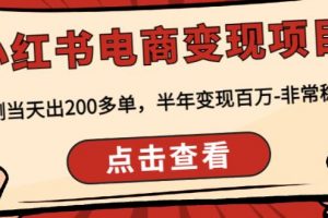 顽石·小红‬书电商变现项目，实测当天出200多单，半年变现百万，非常稳定