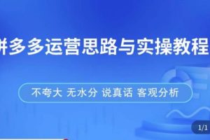 拼多多店铺运营思路与实操教程，快速学会拼多多开店和运营，少踩坑，多盈利