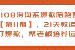 108将淘系爆款陪跑营【第11期】，21天教运营打爆款，帮老板培养运营