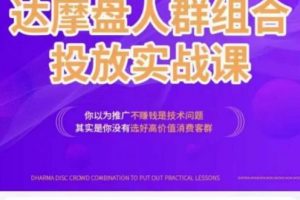 阿呆电商·达摩盘人群组合投放实战课，你以为推广不赚钱是技术问题，其实是你没有选好高价值消费客群