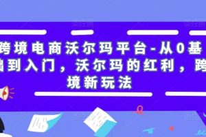 跨境电商沃尔玛平台-从0基础到入门，沃尔玛的红利，跨境新玩法