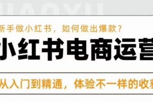 红商学院·小红书电商运营课，​新手做小红书如何快速做出爆款，从入门到精通，体验不一样的收货