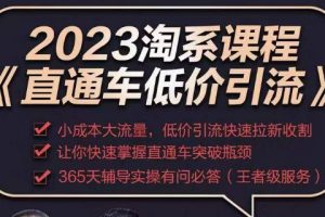 2023直通车低价引流玩法课程，小成本大流量，低价引流快速拉新收割，让你快速掌握直通车突破瓶颈