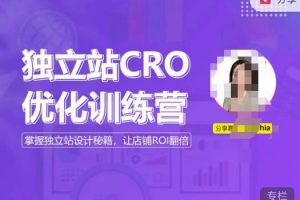 独立站CRO优化训练营，掌握独立站设计秘籍，打造高转化的独立站，让店铺ROI翻倍