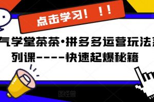 牛气学堂茶茶•拼多多运营玩法系列课—-快速起爆秘籍【更新】