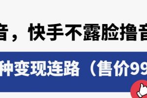 抖音快手不露脸撸音浪项目，多种变现连路（售价998）