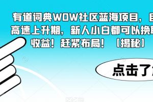 有道词典WOW社区蓝海项目，目前高速上升期，新人小白都可以换取高收益！赶紧布局！【揭秘】