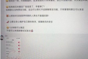 小红书风口项目日入300+，小红书群聊禁言技术代开项目，适合新手操作