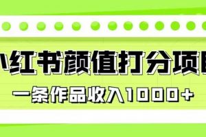 最新蓝海项目，小红书颜值打分项目，一条作品收入1000+【揭秘】