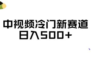 中视频冷门新赛道，做的人少，三天之内必起号，日入500+【揭秘】