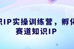 知识IP实操训练营，​孵化多赛道知识IP