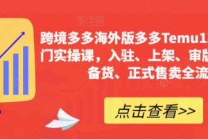 跨境多多海外版多多Temu12天快速入门实操课，入驻、上架、审版、核价、备货、正式售卖全流程