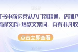 小红书电商运营从入门到精通，店铺入住全流程文档+爆款文案词，自有非凡收获