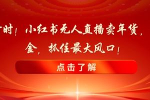 新春倒计时！小红书无人直播卖年货，无货源撸金，抓住最大风口【揭秘】