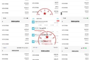 最新视频号创作者分成计划项目，十大高单价赛道，掌握AI内容制作，新手小白也能月入8k+